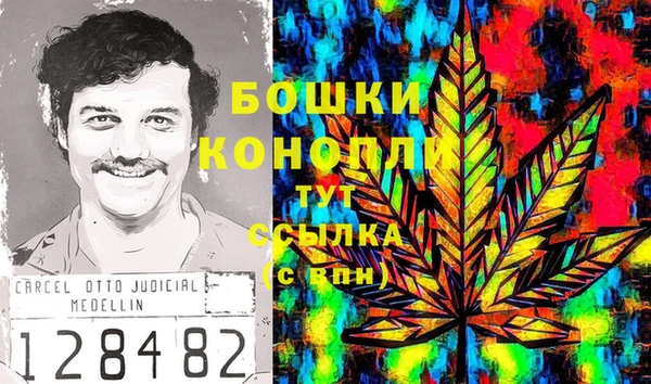дживик Абинск