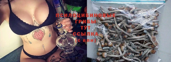 гидропоника Алзамай