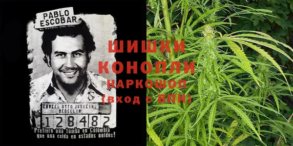 дживик Абинск